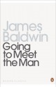 Going To Meet The Man: The Rockpile; The Outing; The Man Child; Previous Condition; Sonny's Blues (Penguin Twentieth Century Classics) - James Baldwin