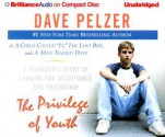 The Privilege Of Youth: A Teenager's Story Of Longing For Acceptance And Friendship - Dave Pelzer