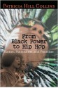 From Black Power to Hip Hop: Racism, Nationalism, and Feminism (Politics History & Social Chan) - Patricia Hill Collins