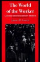 The World of the Worker: Labor in Twentieth-Century America - James R. Green