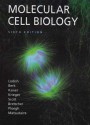 Molecular Cell Biology & eBook - Harvey Lodish, Arnold Berk, Chris A. Kaiser, Monty Krieger, Matthew P. Scott, Anthony Bretscher, Hidde Ploegh, Paul T. Matsudaira