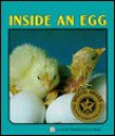 Inside an Egg - Sylvia A. Johnson, Kiyoshi Shimizu