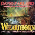 Wizardborn (Runelords, #3) - David Farland, Ray Porter