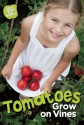 Tomatoes Grow on Vines - Taylor Jones, Anne Faundez