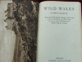 Wild Wales - George Borrow