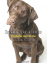 Inside of a Dog: What Dogs See, Smell, and Know - Alexandra Horowitz, Karen White