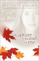 Capture the Wind for Me - Brandilyn Collins