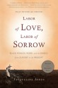 Labor of Love, Labor of Sorrow: Black Women , Work, and the Family, from Slavery to the Present - Jacqueline Jones