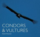 Condors & Vultures - David Houston