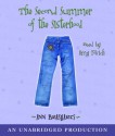 The Second Summer of the Sisterhood (Sisterhood of the Traveling Pants #2) (Audio) - Ann Brashares, Amy Povich