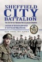 Sheffield Pals: The 12th (Service) Battalion York and Lancaster Regiment - Ralph Gibson, Paul Oldfield