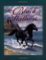 The Black Stallion (Black Stallion Series, Book 1) - Walter Farley