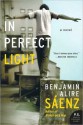 In Perfect Light - Benjamin Alire Sáenz