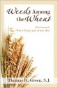 Weeds Among the Wheat Discernment: Where Prayer and Action Meet - Thomas H. Green