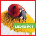 Ladybugs - Mari C. Schuh