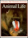 Animal Life - Martin Walters