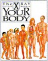 Your Body: X Ray Picture Book (X-Ray Picture Books) - Kathryn Senior, David Salariya, Kathryn Senoir