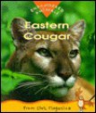 Eastern Cougar - Sylvia Funston, Olena Kassian