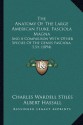 The Anatomy Of The Large American Fluke, Fasciola Magna: And A Comparison With Other Species Of The Genus Fasciola, S.St. (1894) - Charles Wardell Stiles, Albert Hassall