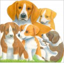 Playful Puppies - Emma Books Ltd.