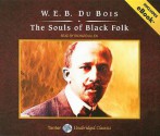 The Souls of Black Folk - W.E.B. Du Bois, Richard Allen