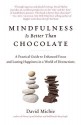 Mindfulness Is Better Than Chocolate: A Practical Guide to Enhanced Focus and Lasting Happiness in a World of Distractions by David Michie (2015-01-06) - David Michie;