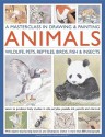 A Masterclass in Drawing & Painting Animals: Wildlife, Pets, Reptiles, Birds, Fish & Insects - Jonathan Truss, Sarah Hoggett