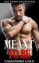 ROMANCE Gay: MEANT TO BE (Lesbian Gay Bisexual Transgender Romance) (LGBT First Time Short Stories Quick Reads) - Cassandra Cole