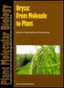 Oryza: From Molecule to Plant - Takuji Sasaki, Graham Moore