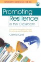 Promoting Resilience in the Classroom: A Guide to Developing Pupils' Emotional and Cognitive Skills - Carmel Cefai, Paul Cooper