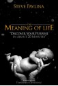 The Meaning of Life: Discover Your Purpose in About 20 Minutes (Steve Pavlina Essentials) - Steve Pavlina, Fernando Gutierrez