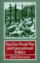 The First World War And International Politics - David Stevenson