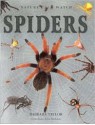 Spiders - Barbara Taylor