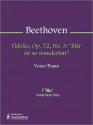 Fidelio, Op. 72, No. 3: "Mir ist so wunderbar" - Ludwig van Beethoven