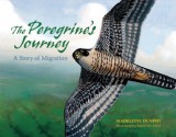 The Peregrine's Journey: A Story of Migration - Madeleine Dunphy, Kristin Kest