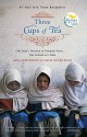 Three Cups of Tea: One Man's Mission to Promote Peace... One School at a Time - Greg Mortenson, David Oliver Relin