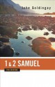 1 and 2 Samuel for Everyone (Old Testament for Everyone) - John Goldingay