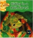 Hiding In A Rain Forest - Patricia Whitehouse