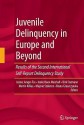 Juvenile Delinquency in Europe and Beyond: Results of the Second International Self-Report Delinquency Study - Beata Gruszcynska, Ineke Haen Marshall, Dirk Enzmann, Martin Killias, Beata Gruszczynska, Majone Steketee