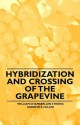 Hybridization and Crossing of the Grapevine - William Chamberlain Strong, Andrew S. Fuller