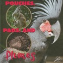 Pouches, Pads, and Plumes - Lynn M. Stone