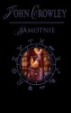 Samotnie - John Crowley