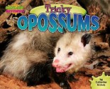 Tricky Opossums - Catherine Nichols