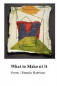 What to Make of It - Pamela Harrison