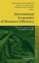 International Economics of Resource Efficiency: Eco-Innovation Policies for a Green Economy - Raimund Bleischwitz, Paul J.J. Welfens, Zhongxiang Zhang