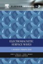 Nanotechnology for Electromagnetic Surface Waves - John Polo, Tom MacKay, Akhlesh Lakhtakia