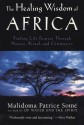 The Healing Wisdom of Africa: Finding Life Purpose Through Nature, Ritual, and Community - Malidoma Patrice Somé