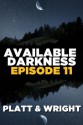 Available Darkness: Episode 11 - Sean Platt, David W. Wright