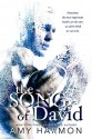 The Song of David - Amy Harmon