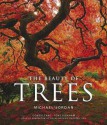 The Beauty of Trees - Michael Jordan